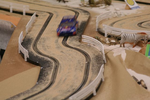 safari rally