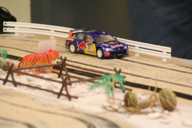 safari rally