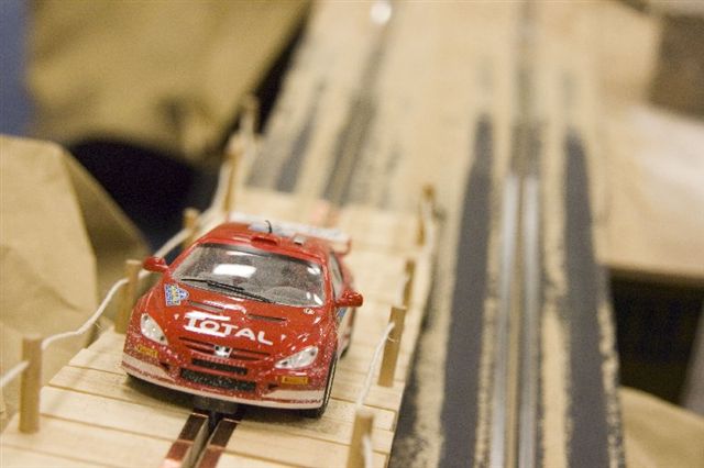 safari rally
