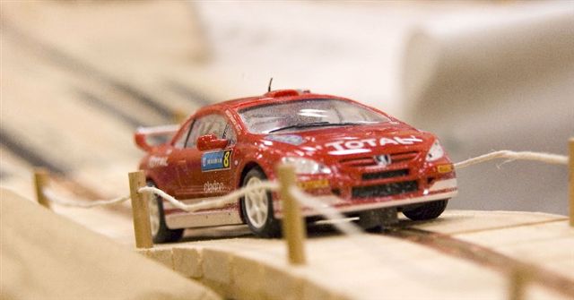 safari rally