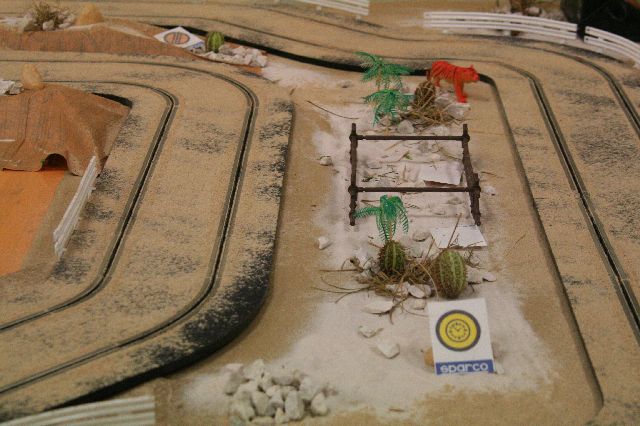 safari rally
