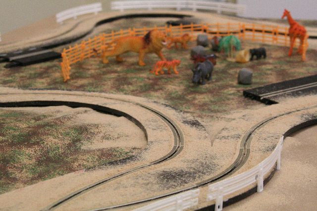 safari rally
