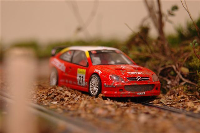 WALES RALLY
