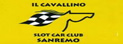 cavallino