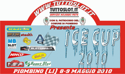 ice cup 2010