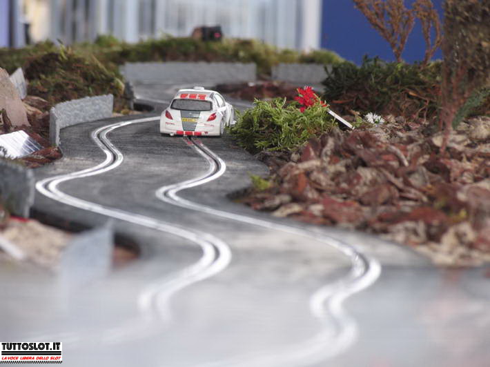 Tuttoslot Servizio noleggio piste al rally dell'adriatico con Peugeot