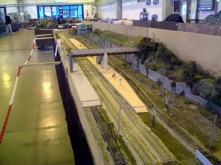 expo model venturina