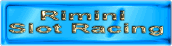 rimini slot racing