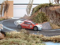 rally