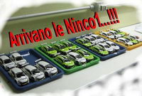 CAVALLINO