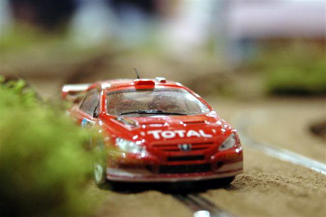 rally new zealand